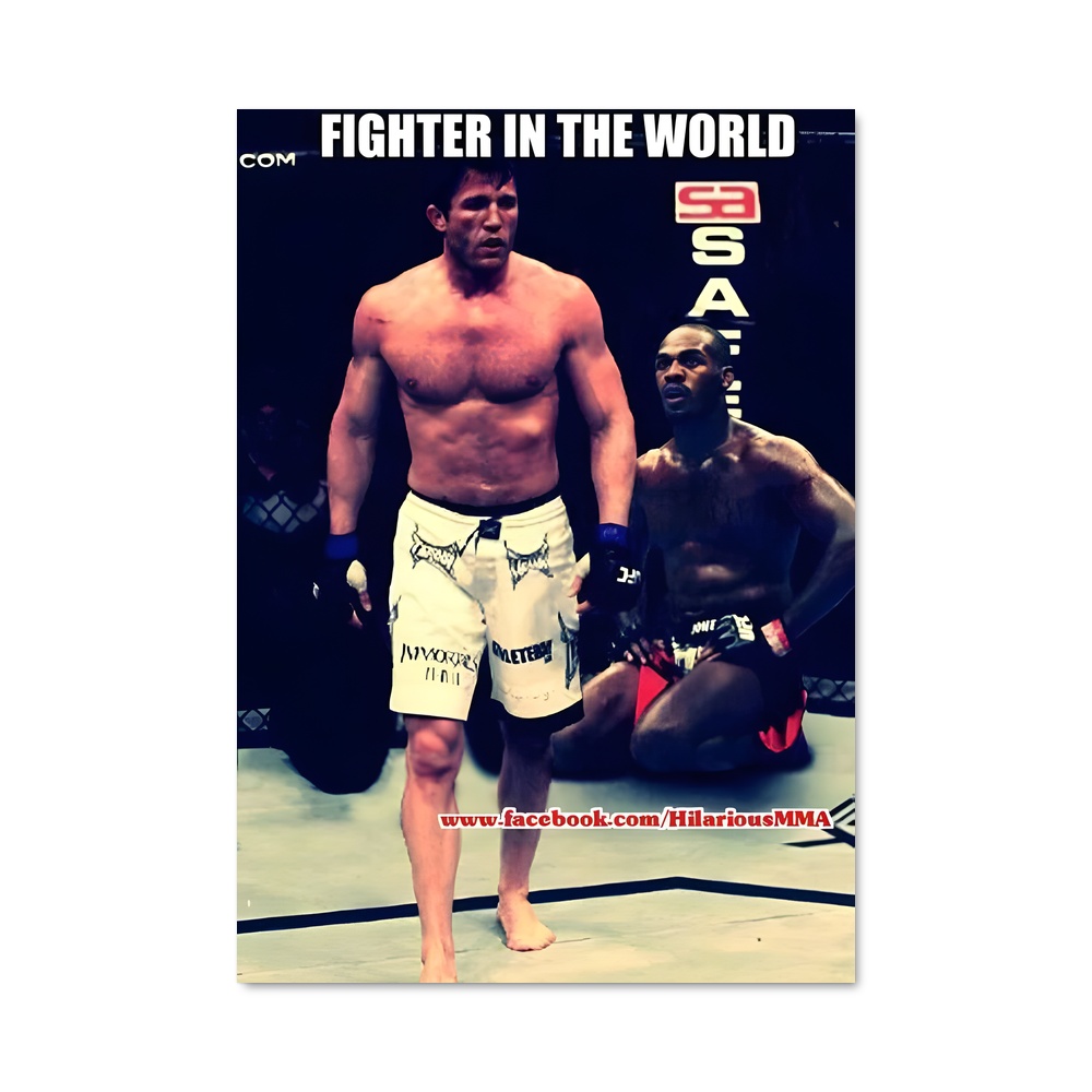 Poster Chael sonnen punch